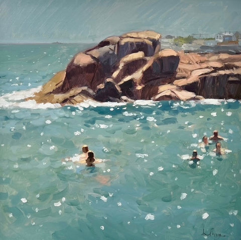 Daily Dip at The Forty Foot