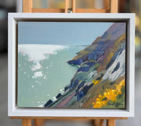 Bray to Greystones walk