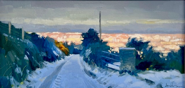 Early Snow, Dublin Mountains