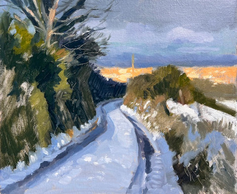 Snow in the Lane, Dublin Mountains